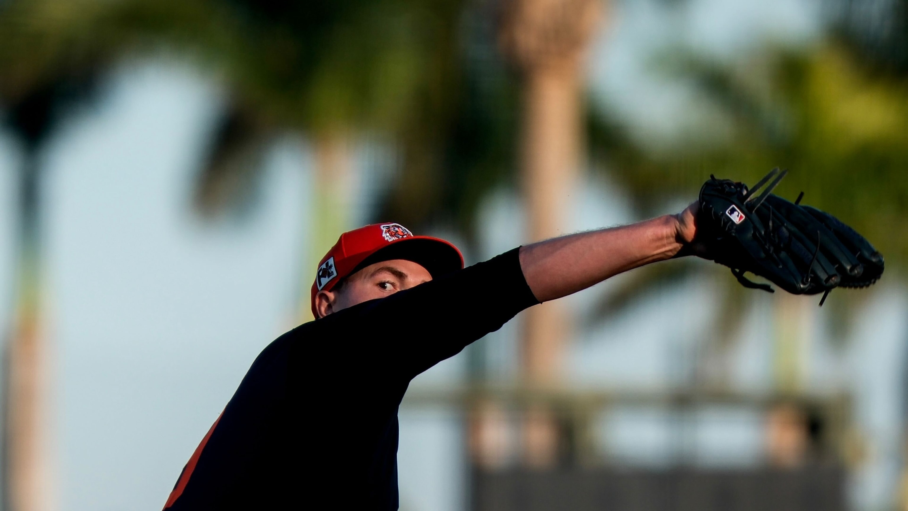 Tarik Skubal fans nine vs. Orioles