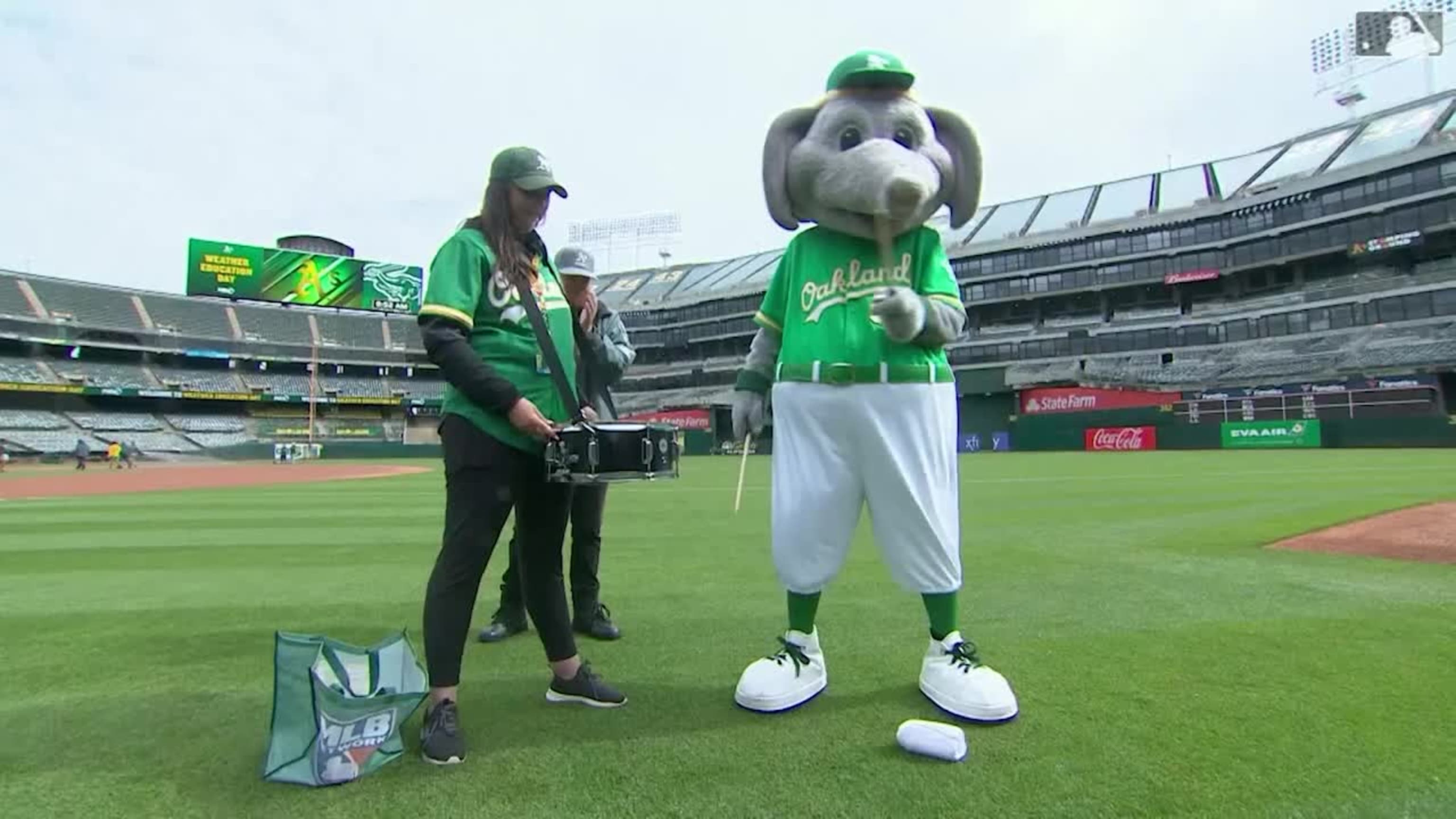 Why do the Oakland Athletics uniforms have elephant patches on