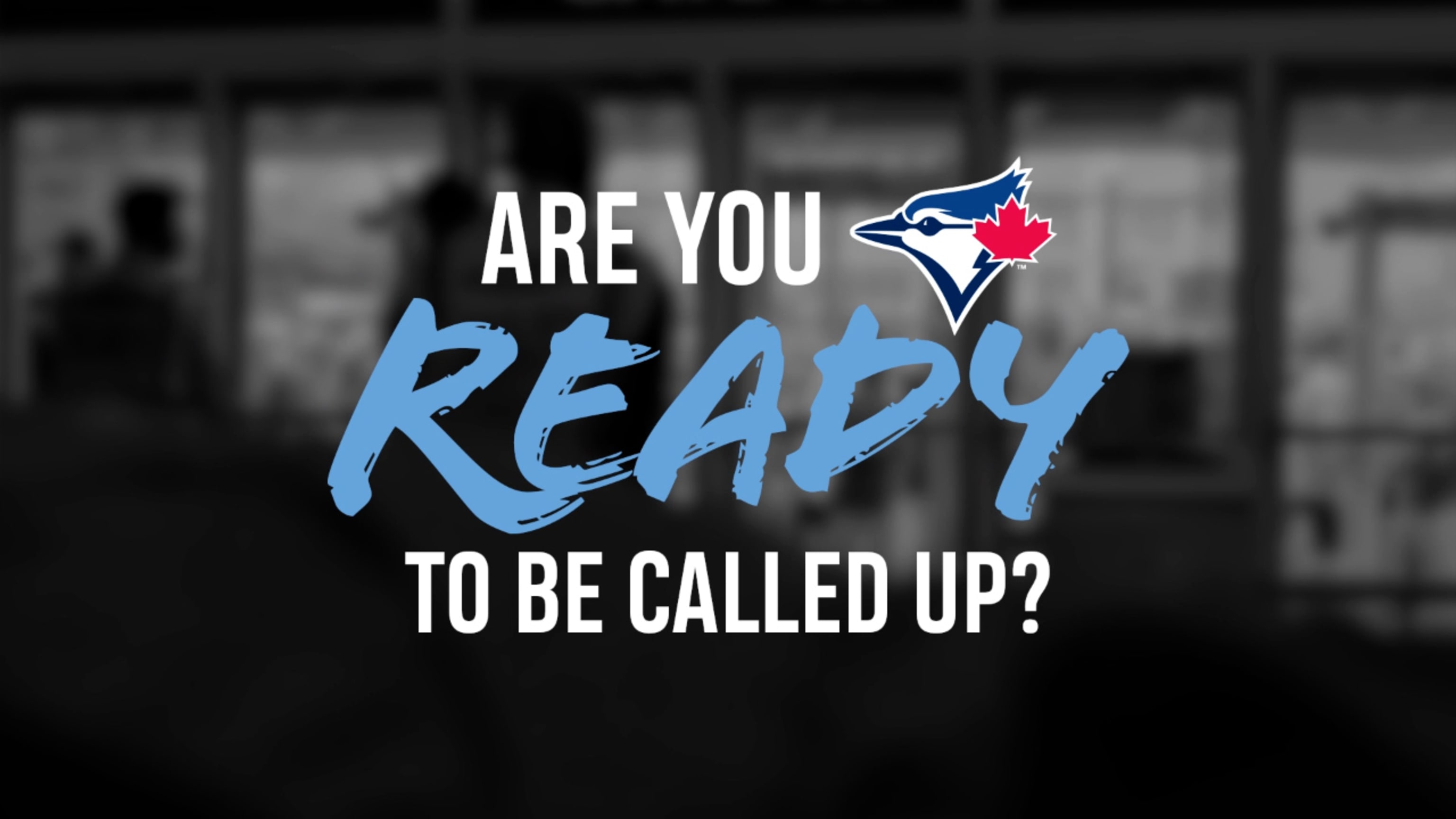 The Toronto Blue Jays are ready for MORE! 