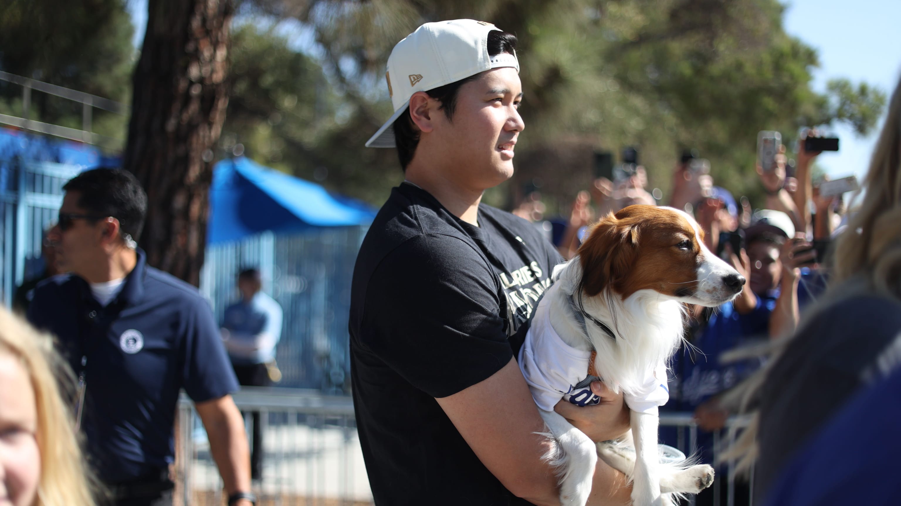 Shohei Ohtani's dog Decoy's best moments