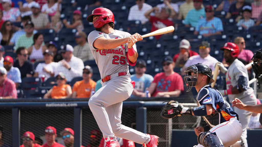 Thomas Saggese's RBI single