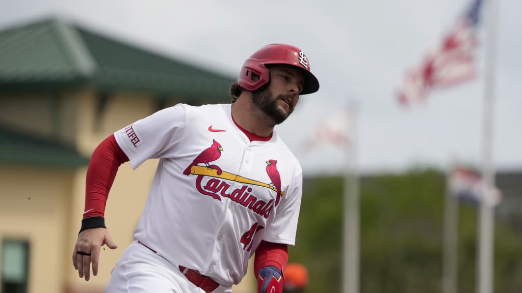 Cardinals baseball jersey best sale