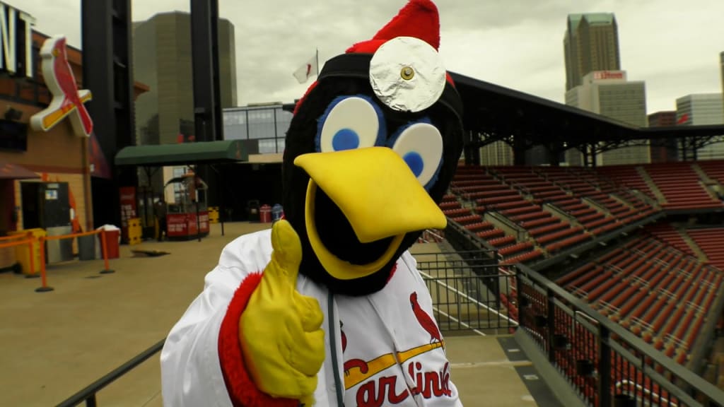Cardinals 'Fredbird' mascot scrutinized for controversial photo