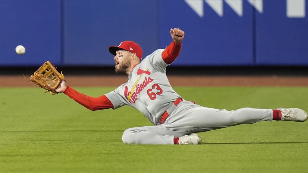 Michael Siani makes the incredible sliding grab