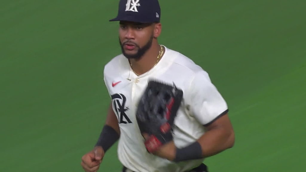 The Catch : r/baseball