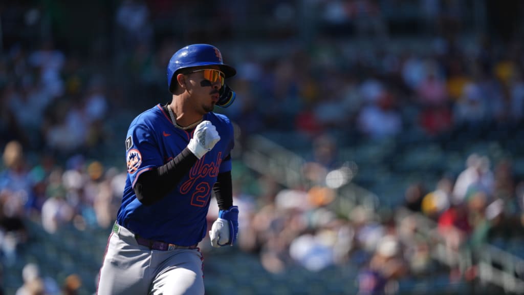New York Mets Mark Vientos Edwin Diaz Bobblehead May 2025