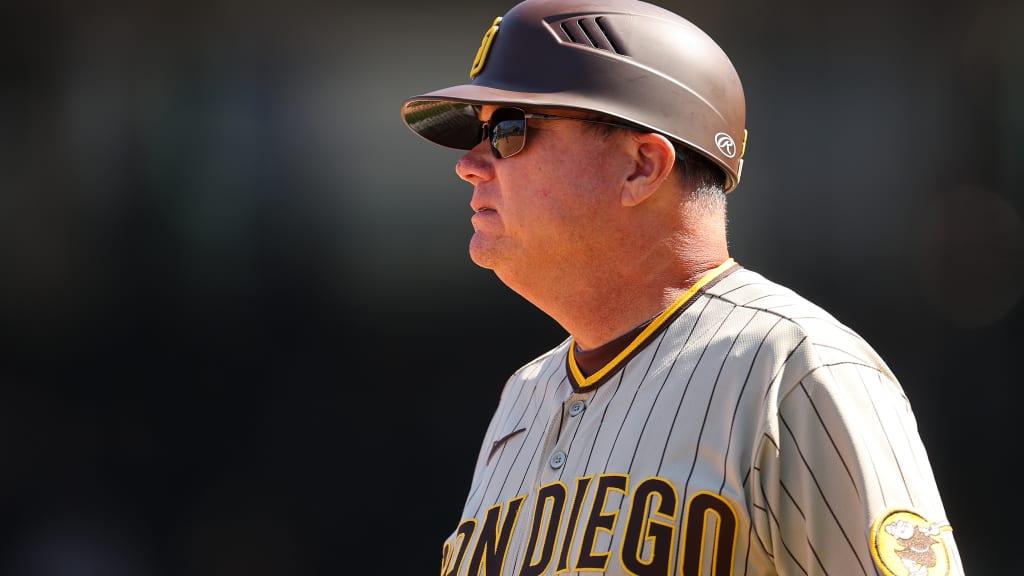 Padres tab Mike Shildt as manager