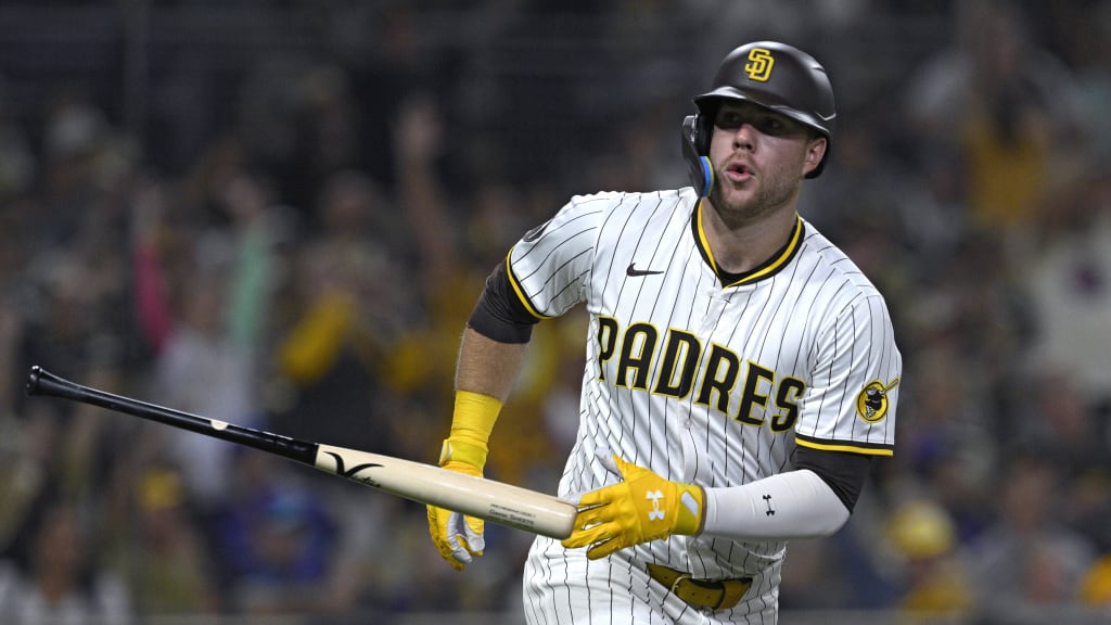 Gavin Sheets' solo homer (14)