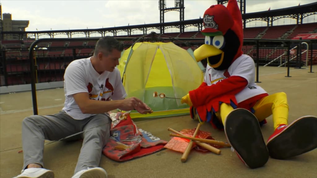 Team Fredbird  St. Louis Cardinals