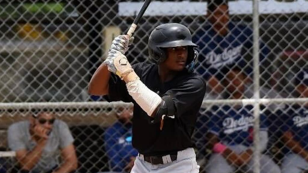 Top Int'l Prospects: Guerrero Jr., SS