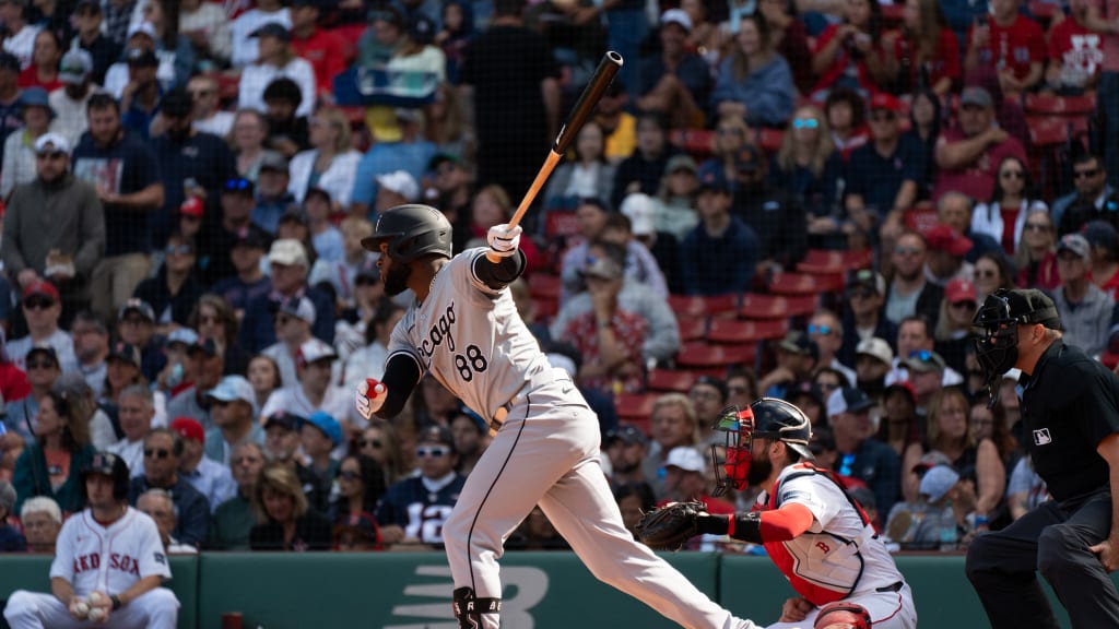 Luis Robert Jr.