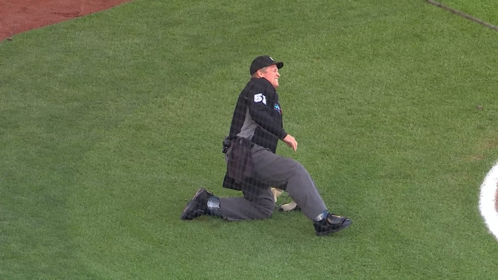 Home-plate umpire hit on jaw, exits Mets' tilt