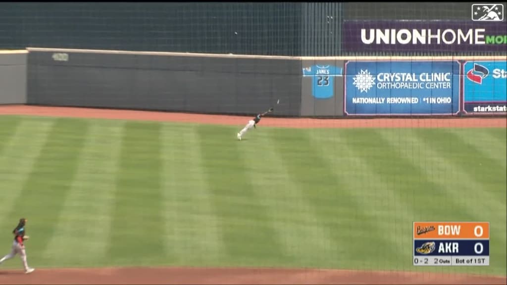 Donta' Williams makes an incredible diving catch for the Double-A