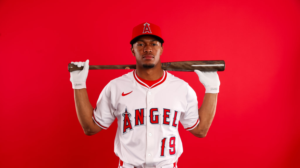 Tim Anderson, Christian Moore headline Angels' bench candidates
