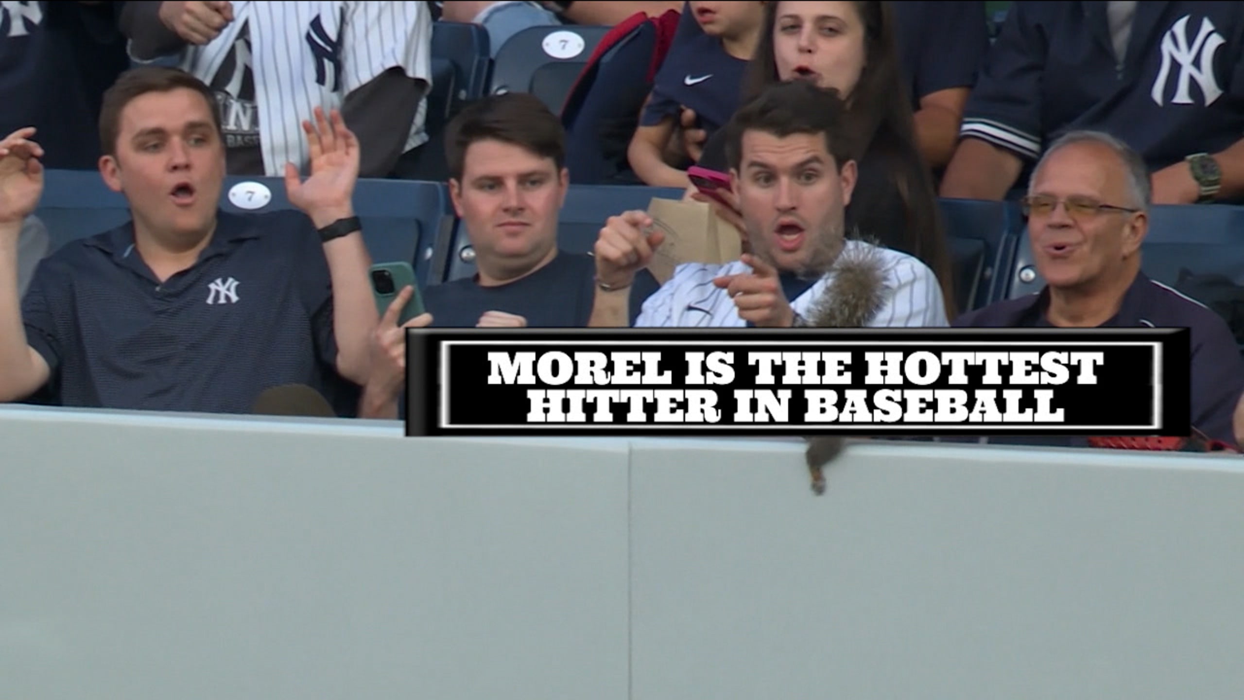 Scary Statements Morel, Rangers