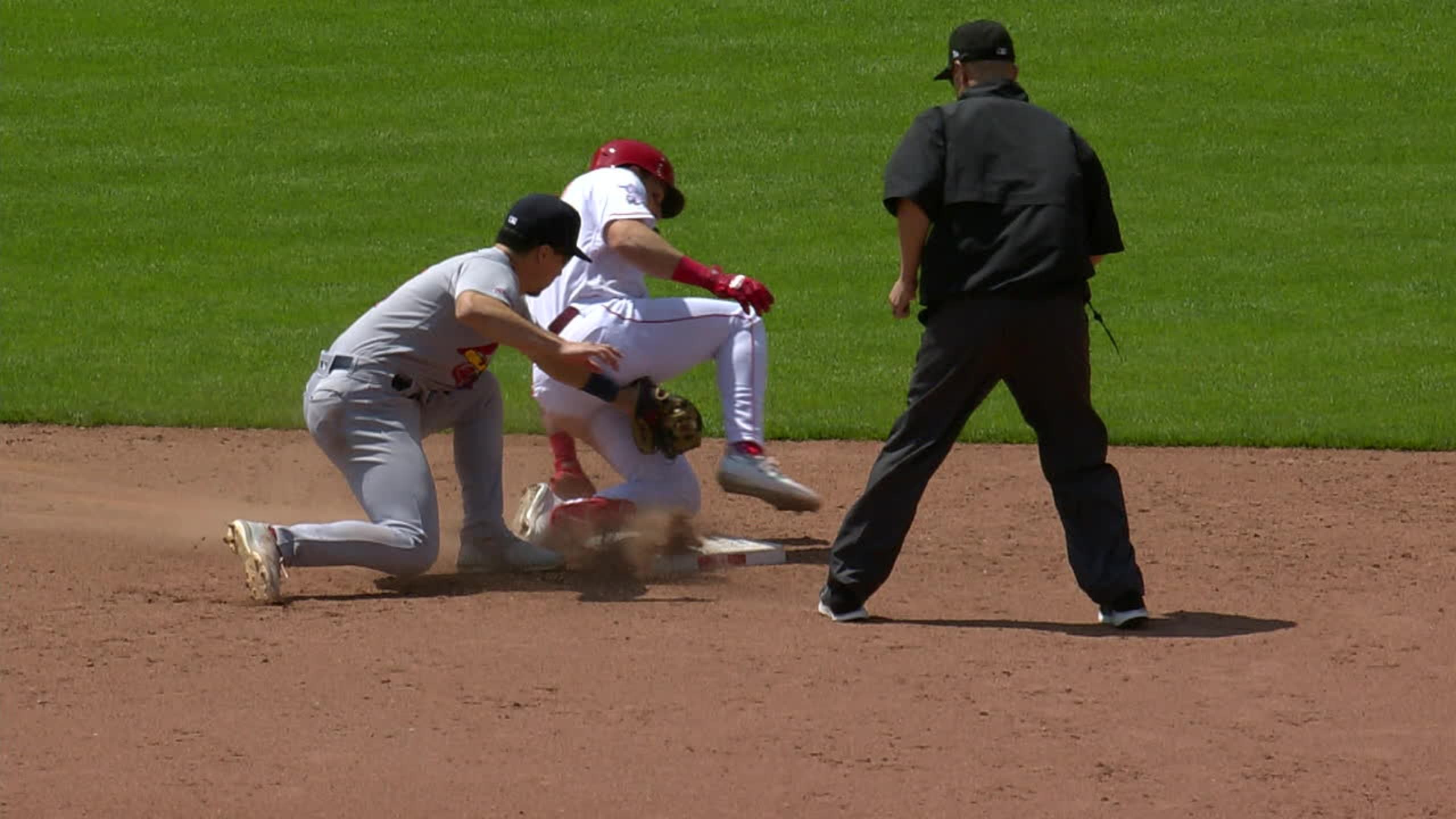 Steer is safe after review