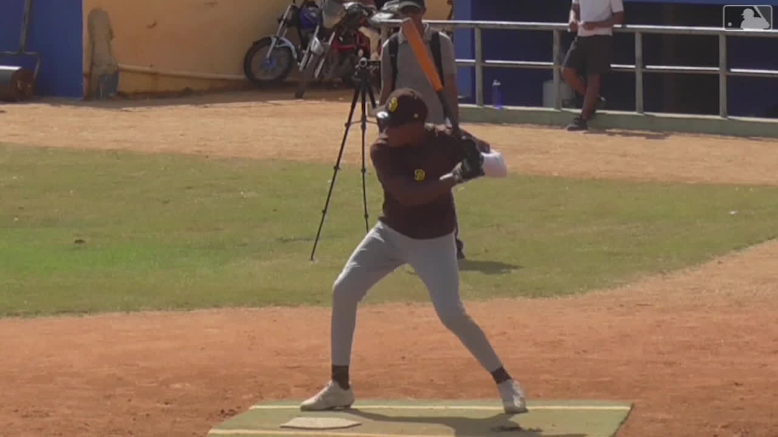 2024 Top Prospect Leodalis De Vries
