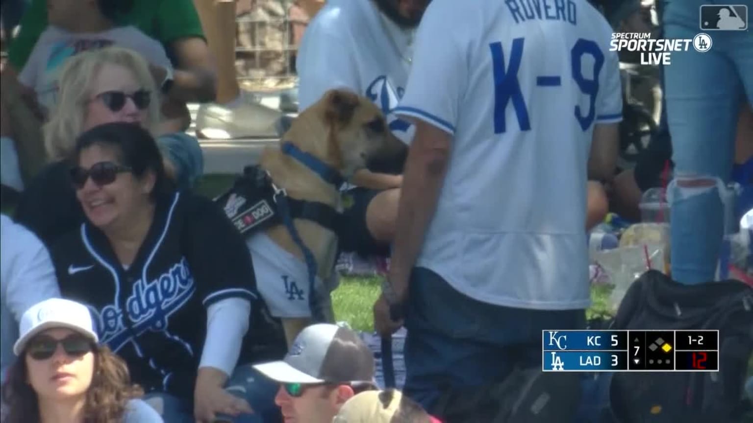 Dog catches Michael Busch's homer, 03/25/2023