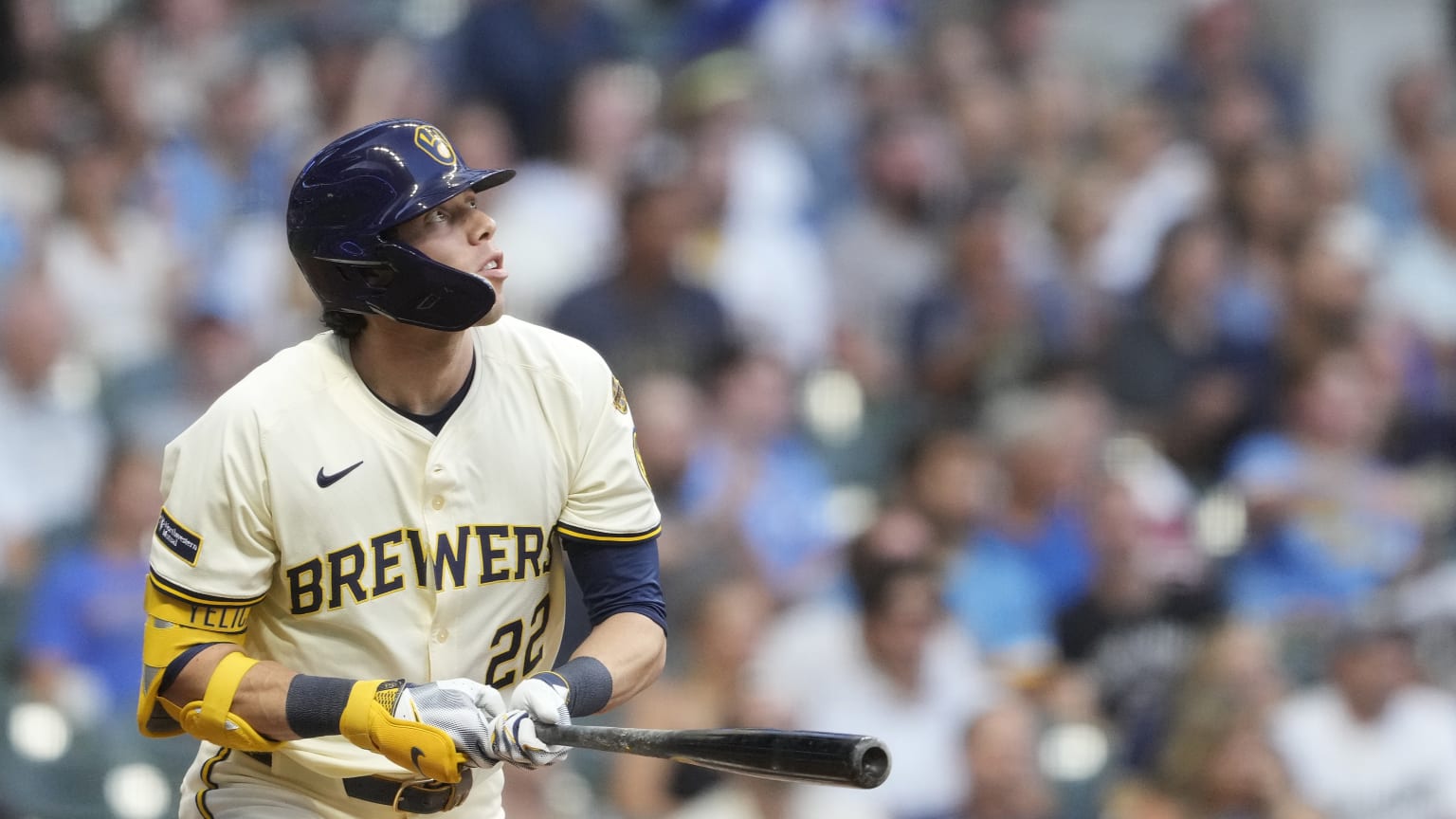 Milwaukee Brewers シルクタッチスロー 117×152センチ Milwaukee