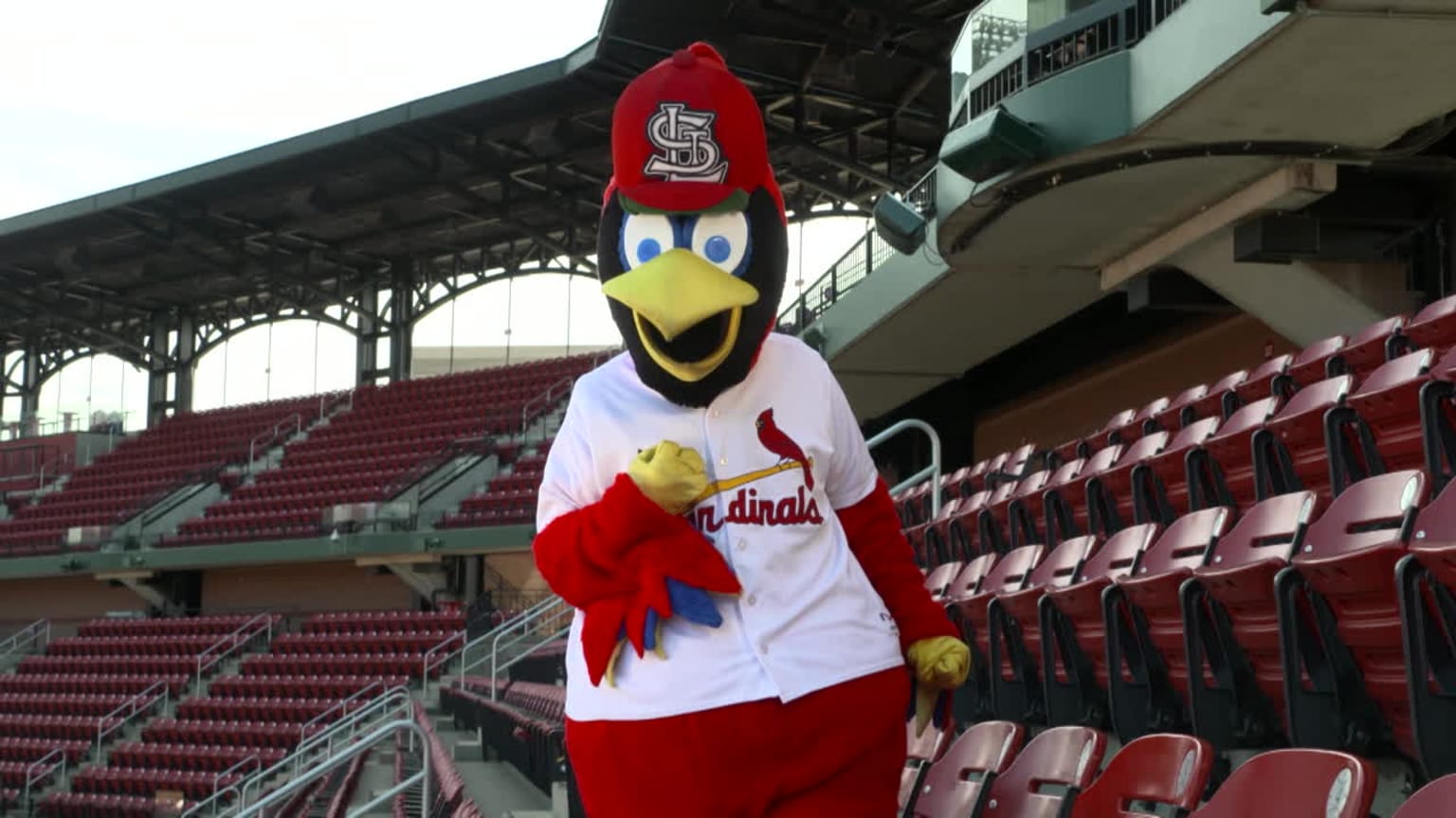 Fredbird & Friends - Be Active | 06/22/2023 | St. Louis Cardinals
