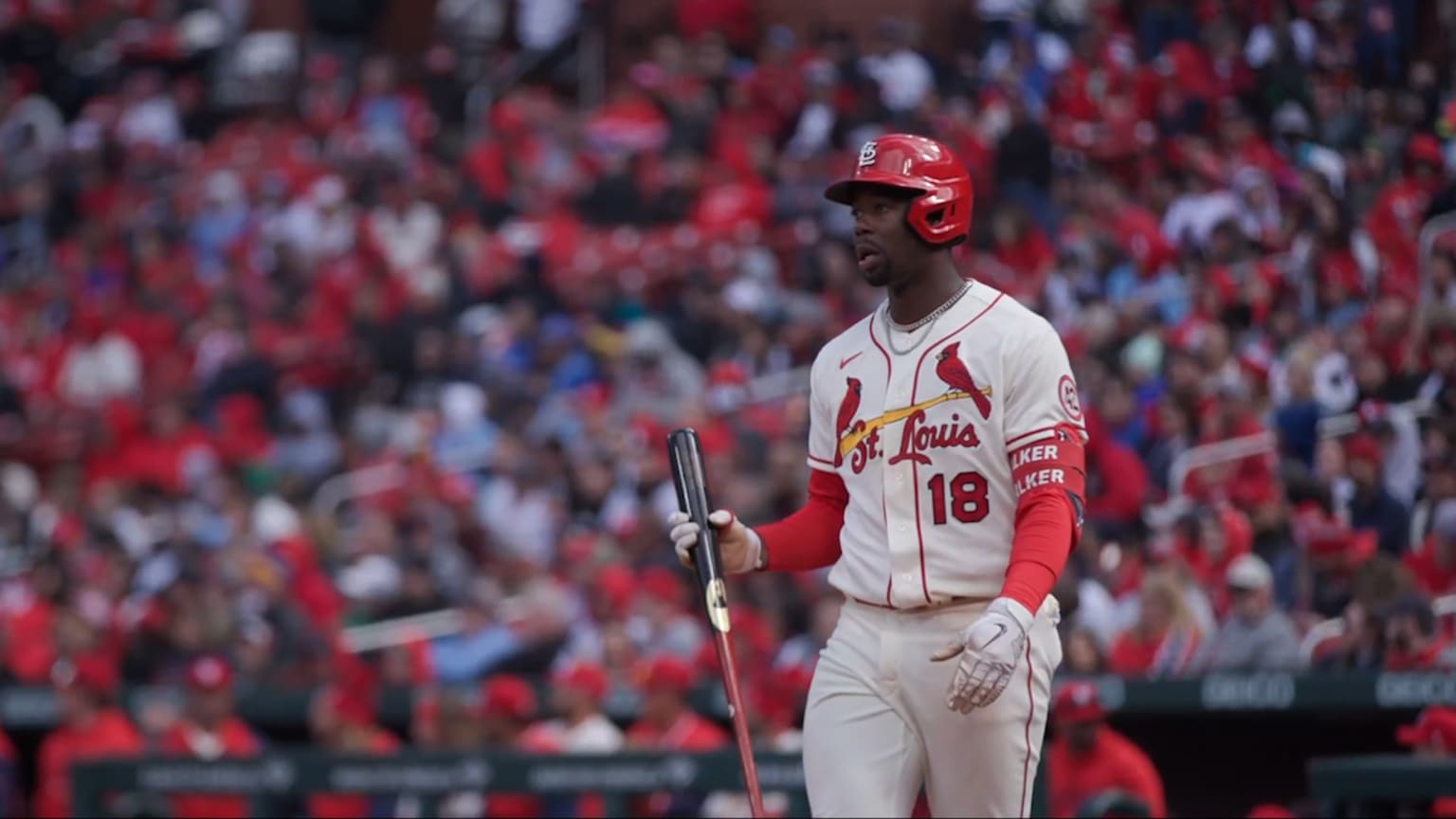 MLBbro.com examines Cardinals rookie Jordan Walker | 09/15/2023 | St ...