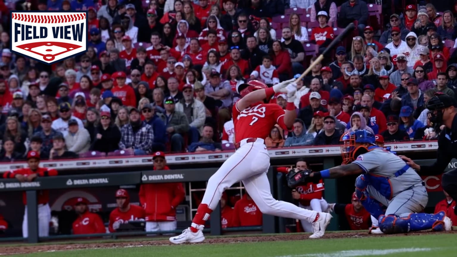 Vista de campo: El HR de 3 carreras de Steer | 06/04/2024 | Los Reds de ...