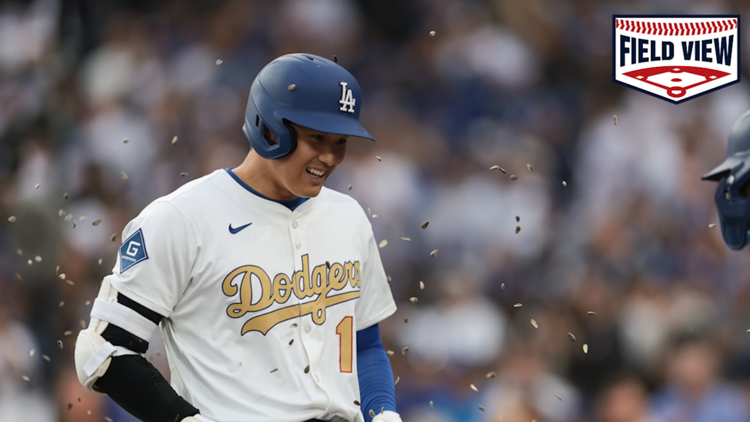 Field View: Shohei Ohtani