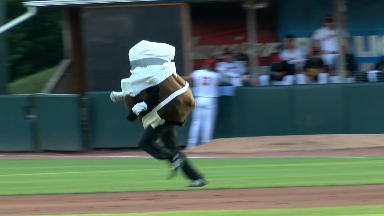Giuseppe wins the blind meatball race! | 08/03/2024 | MLB.com
