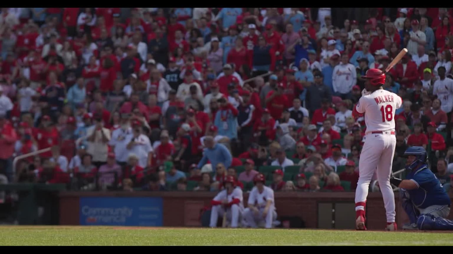 The Buzz Is Real: Gilbert'S First Mlb Hit And What'S Next! - fvww9xz