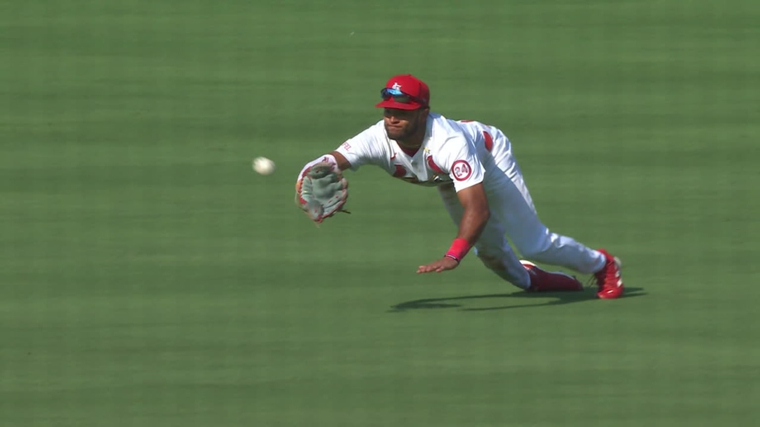 Victor Scott II's diving catch | 08/05/2024 | St. Louis Cardinals
