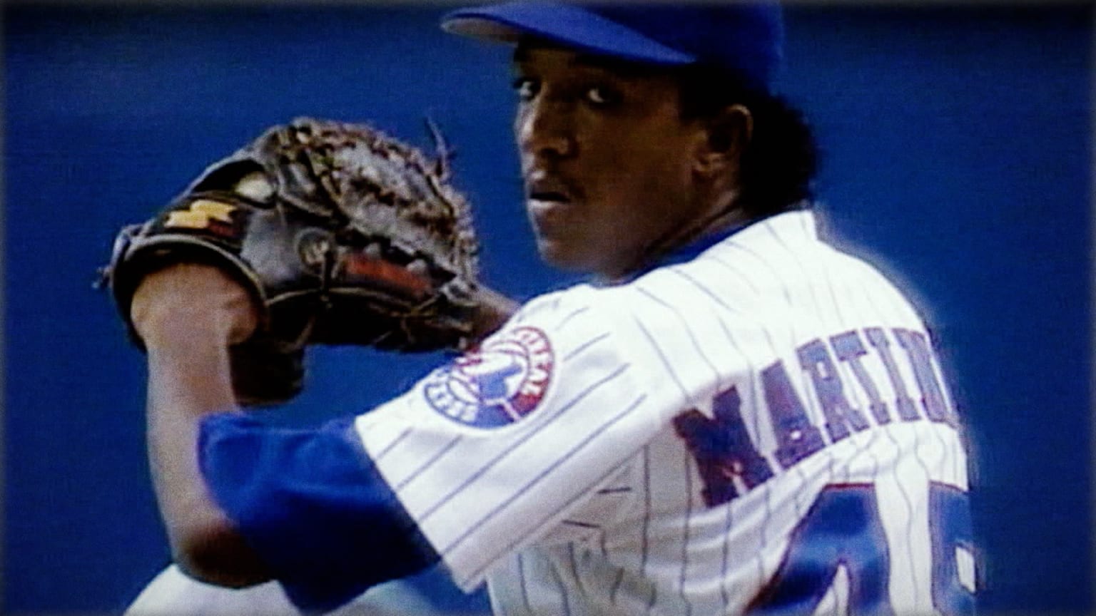 Pedro martinez glove sales