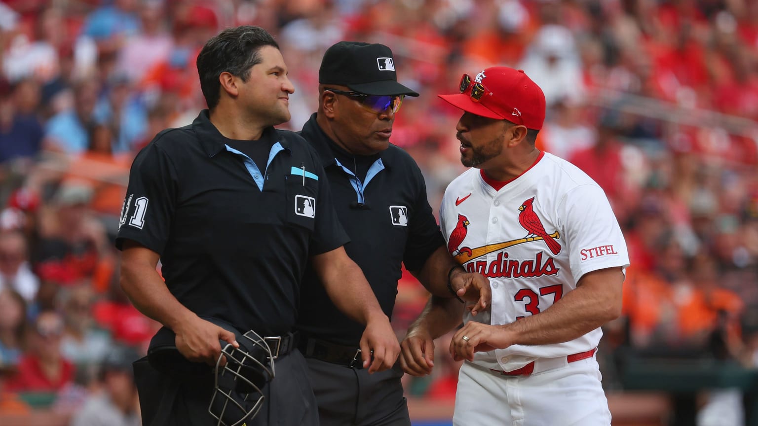 Oliver Marmol ejected after arguing balls and strikes | 05/22/2024 | St.  Louis Cardinals