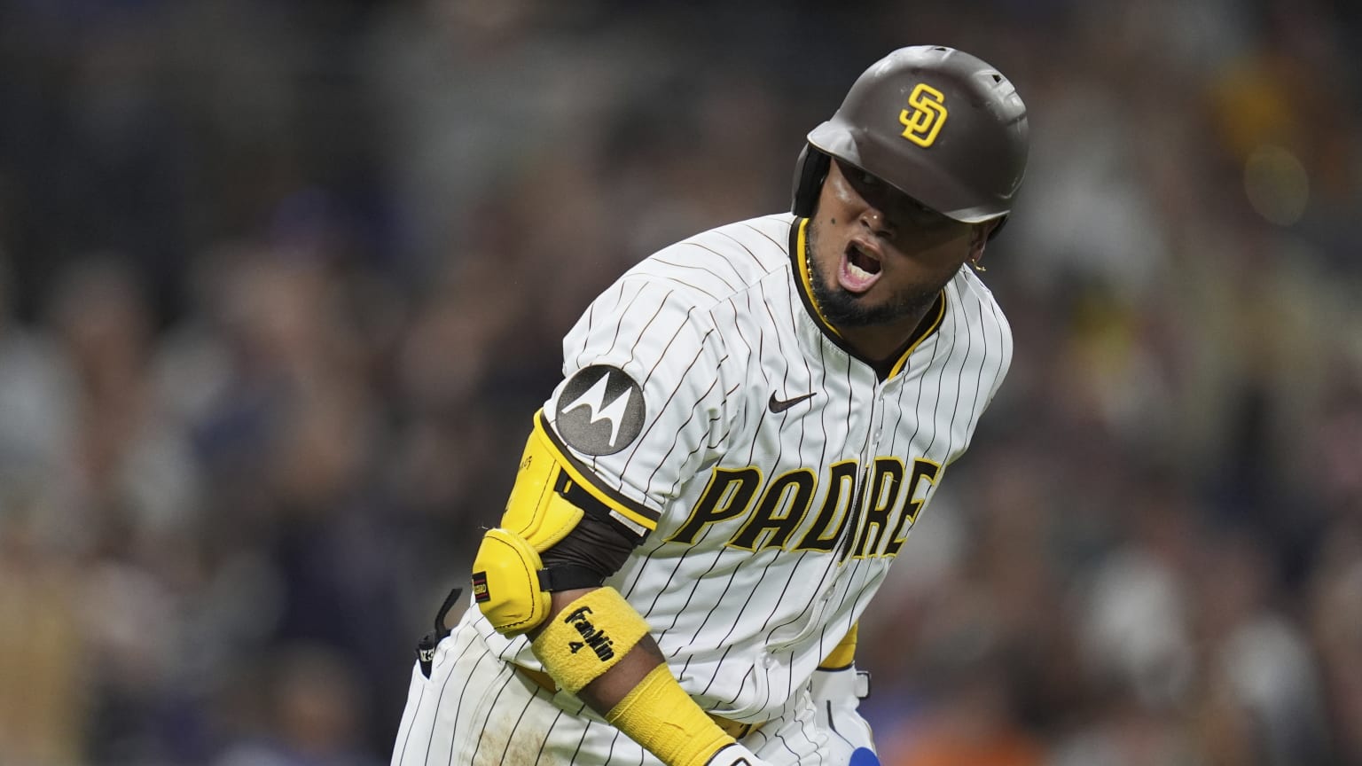 Luis Arraez | 02/20/2026 | MLB Japan