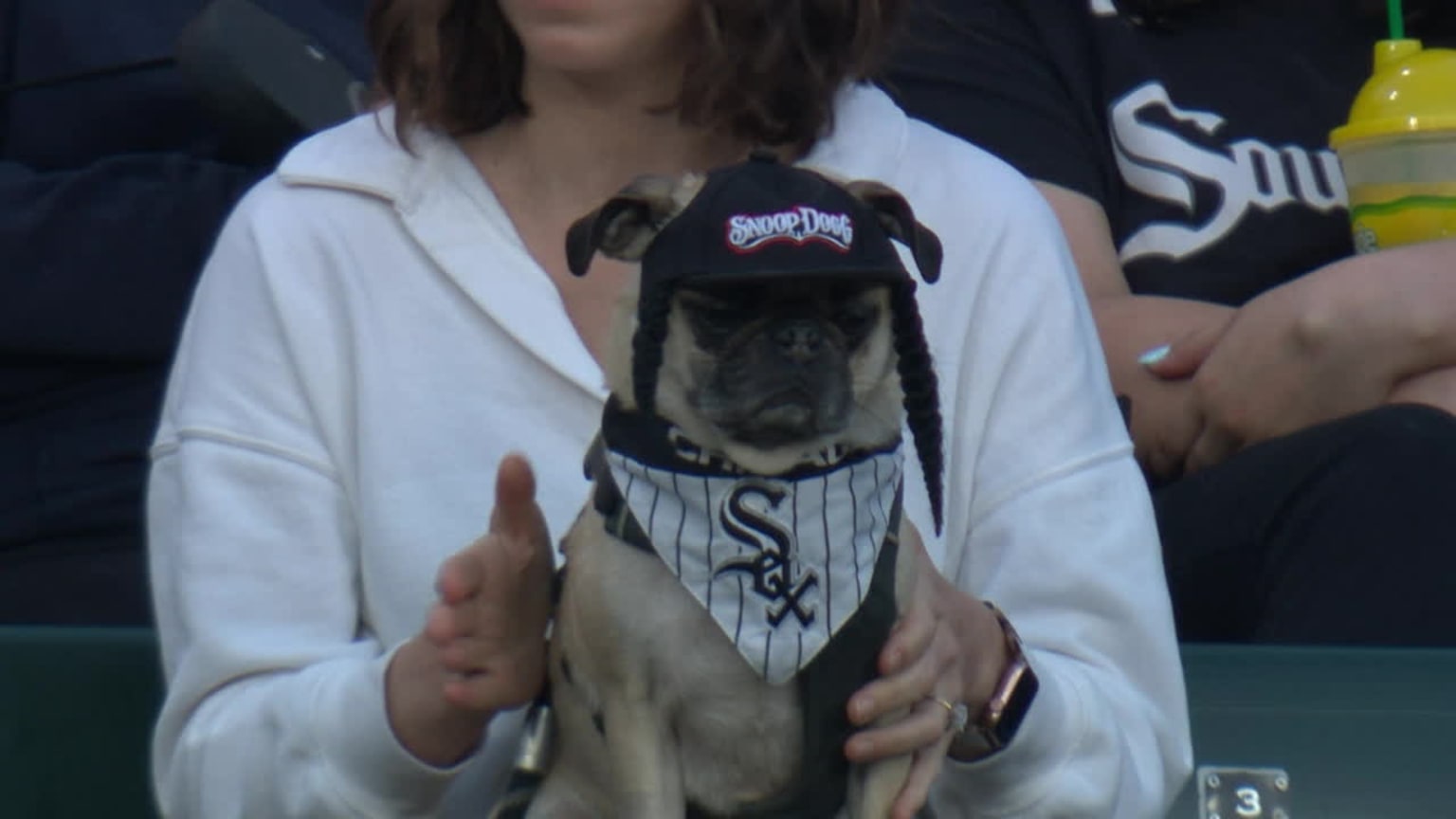White sox dog jersey hot sale