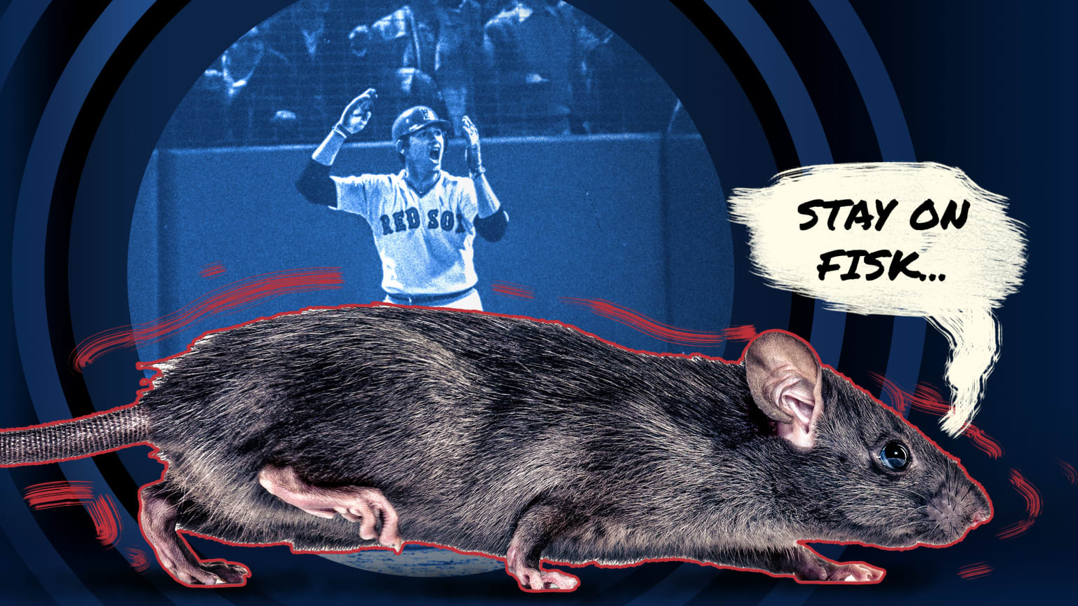 The rat that saved baseball | 10/22/2025 | MLB.com