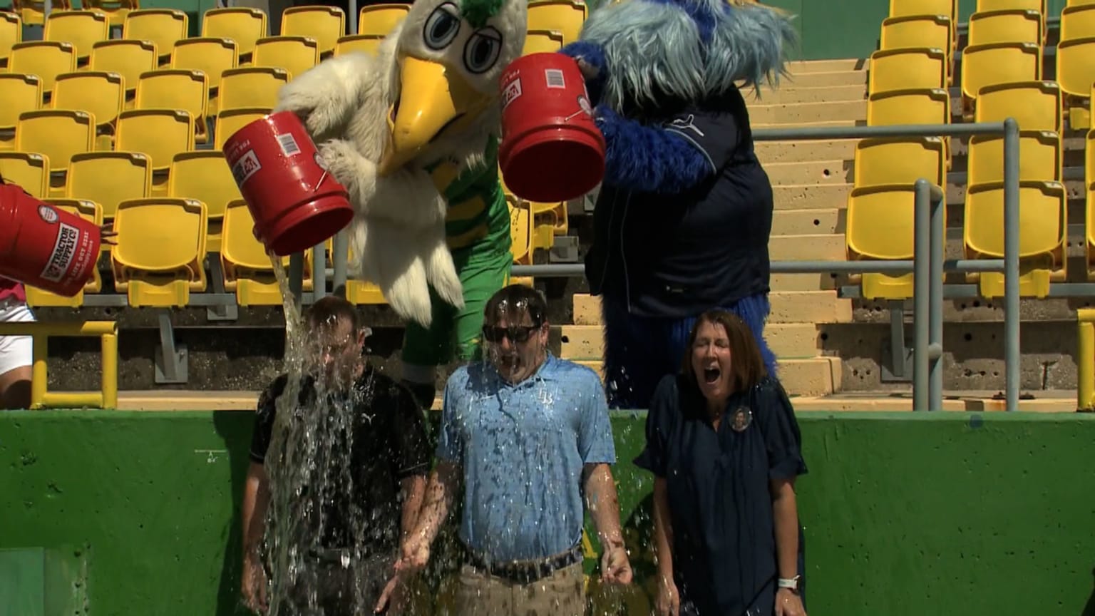 The Rays, Rowdies Foundation host ALS community event | 09/22/2023 ...