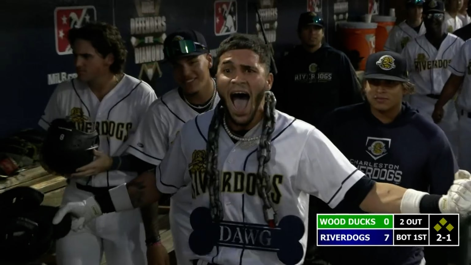 Happy MLB and Minor League Baseball - Charleston RiverDogs