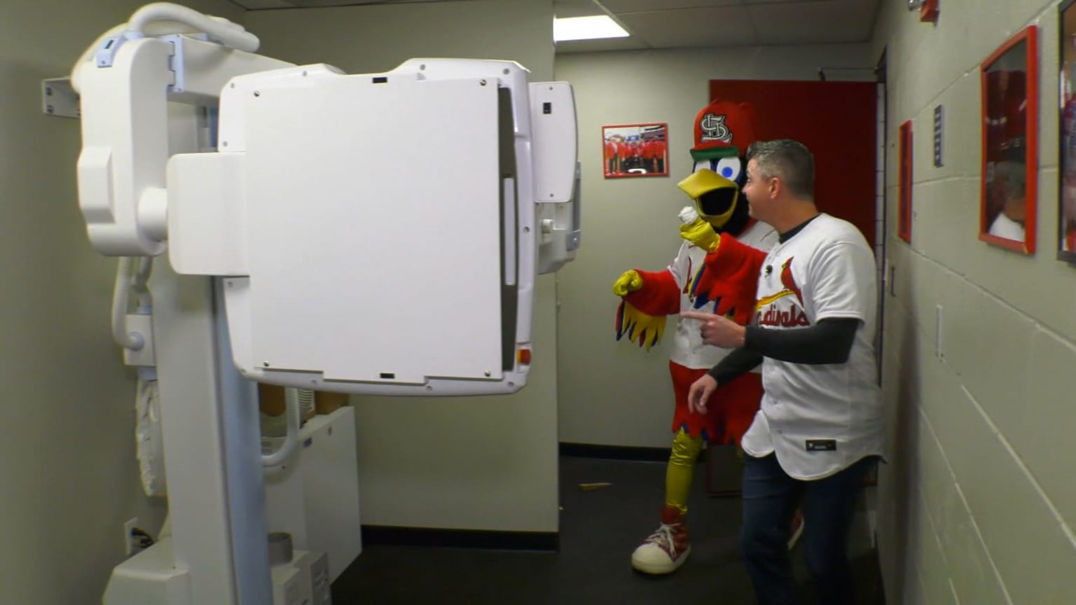 Check out what's inside Fredbird's head! | 07/03/2025 | St. Louis Cardinals