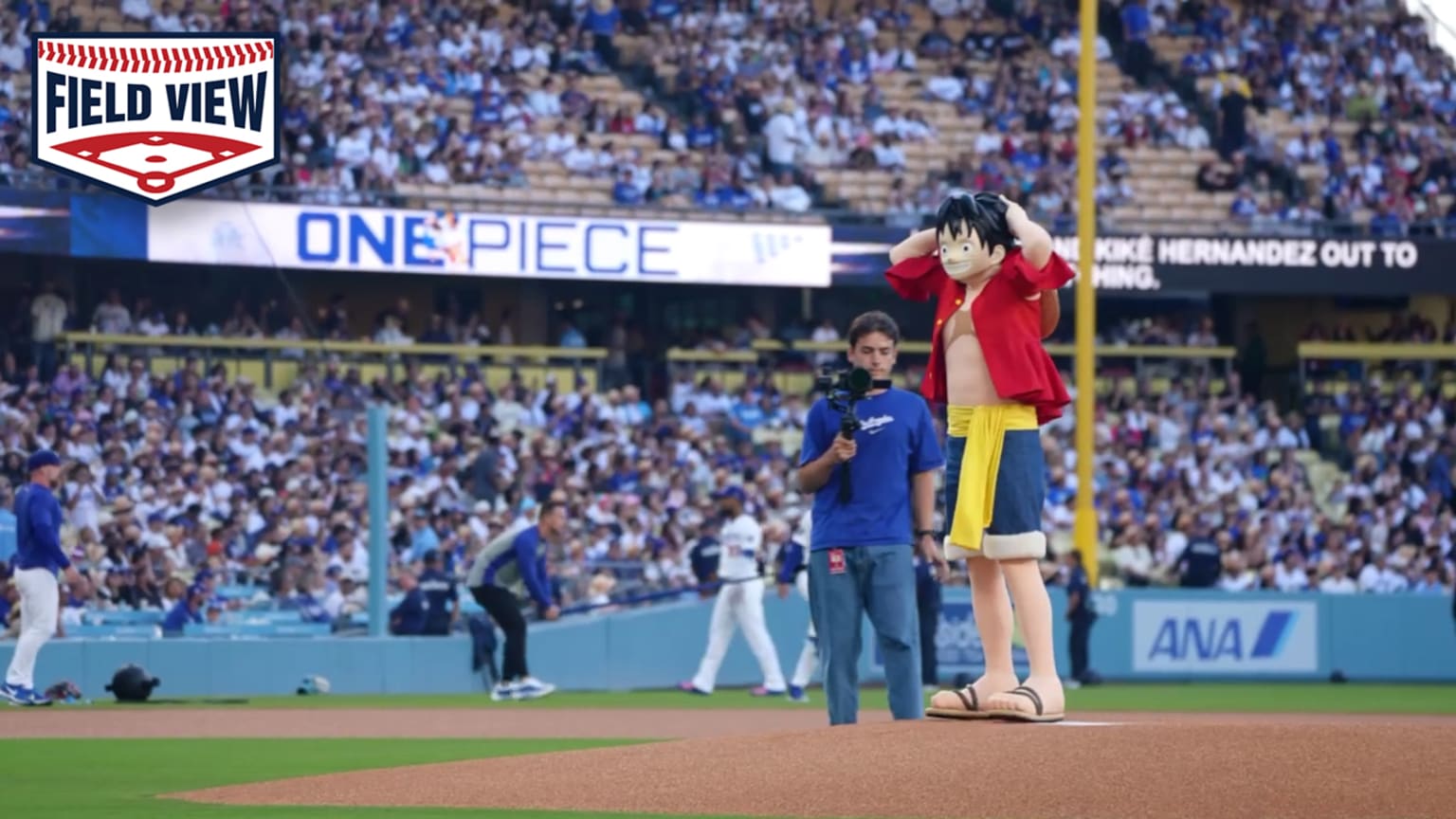 Field View: One Piece's 