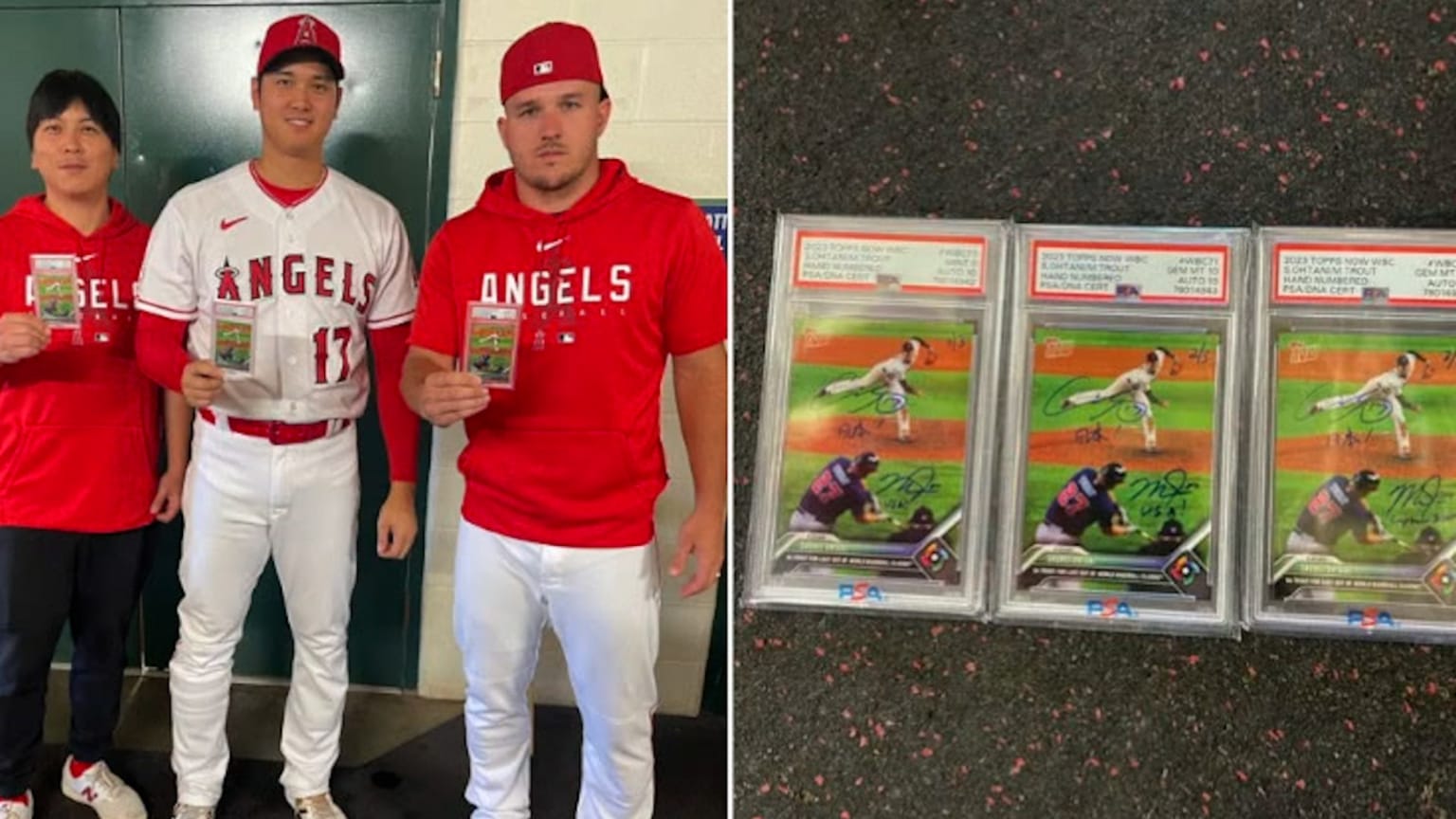 Ohtani and Trout's trading cards, 08/09/2023