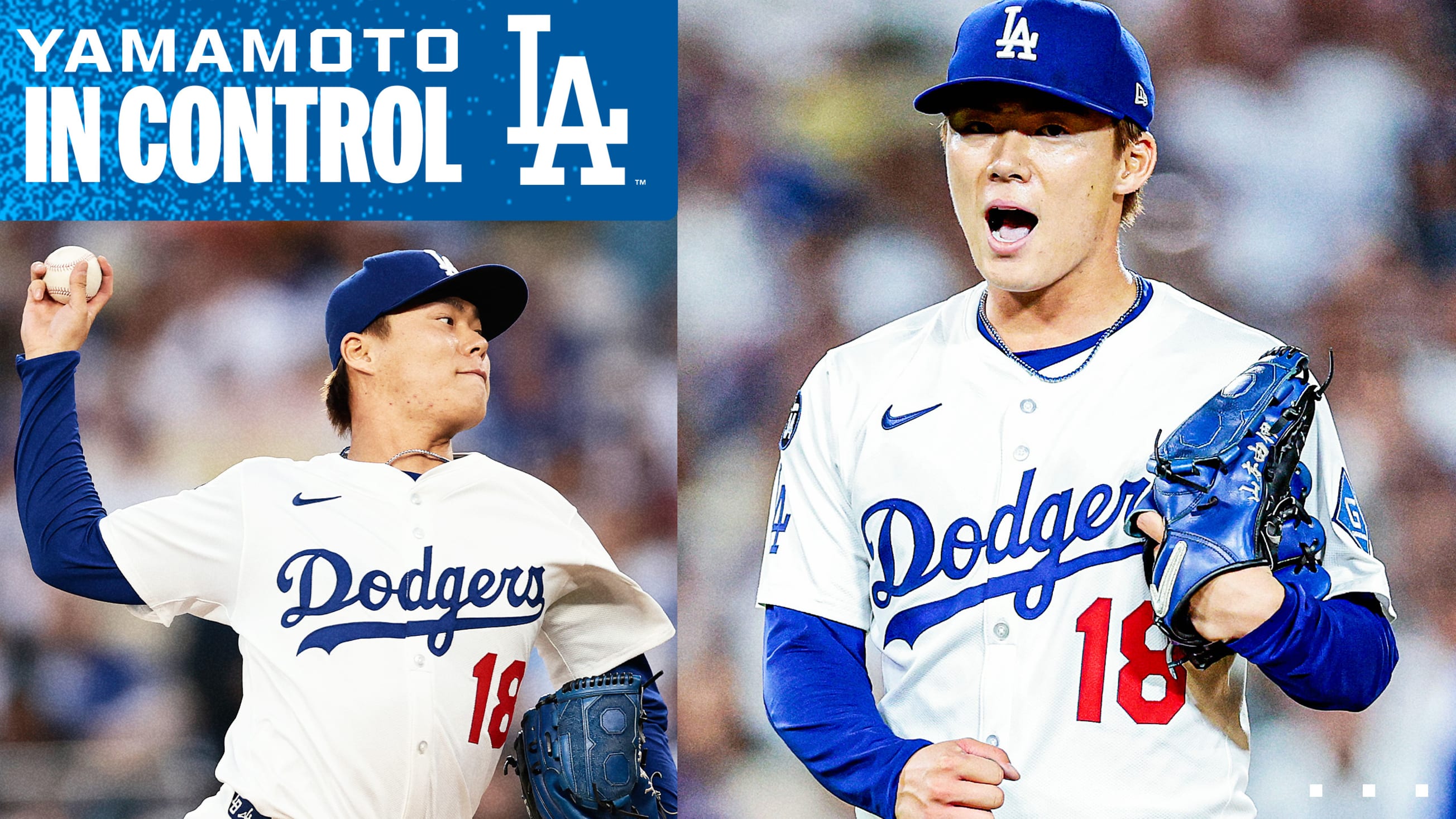 大谷翔平とイチローの使用バット”保有のコレクターが知る入手