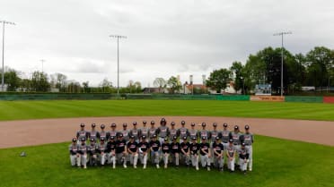 Business of Baseball: International Growth