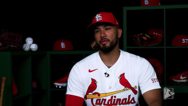 Cards Insider: Living the Dream