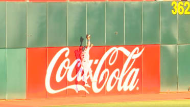 Jake Meyers' leaping catch 