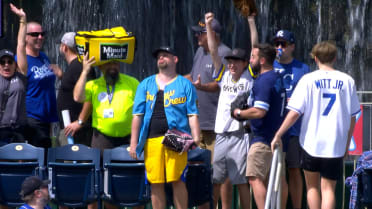 Brewers fan's reluctant home run catch