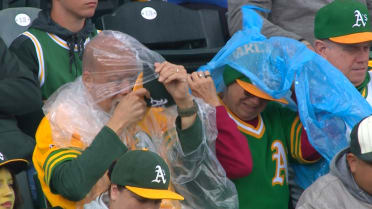 A's fans struggle putting on ponchos