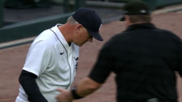 Foul ball is confirmed after review 