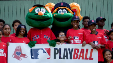 Play Ball RBI Clinic Roxbury