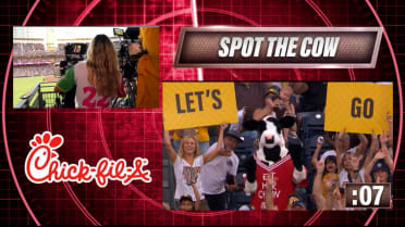 6/24/24 - Spot the Cow