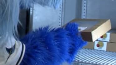 Rays Thanksgiving Takeover